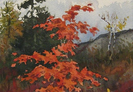 October /Young Maple - 2005 